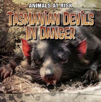 Tasmanian Devils in Danger by Michael Portman, 9781433958069