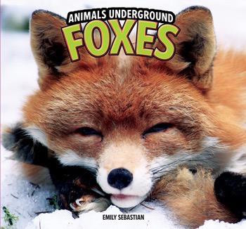 Foxes - 9781448849536 by Emily Sebastian, 9781448849536