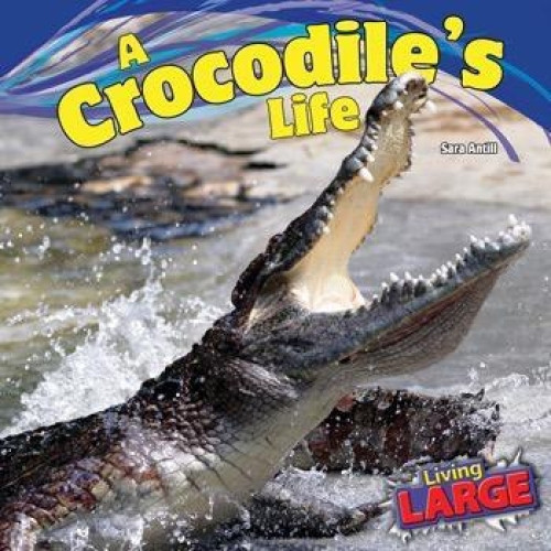 A Crocodile's Life by Sara Antill, 9781448849765