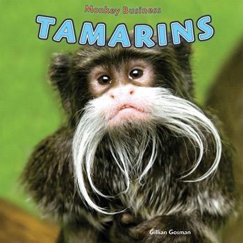 Tamarins by Gillian Houghton Gosman, 9781448850211