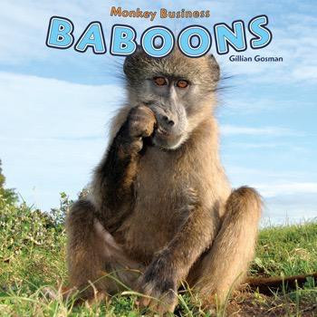 Baboons - 9781448850228 by Gillian Houghton Gosman, 9781448850228