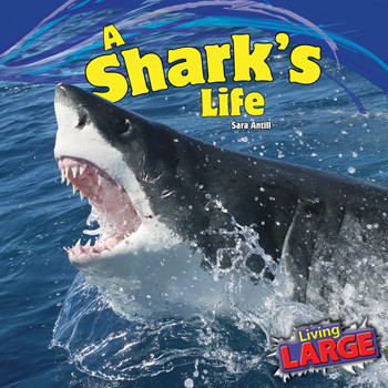 A Shark's Life - 9781448851102 by Sara Antill, 9781448851102