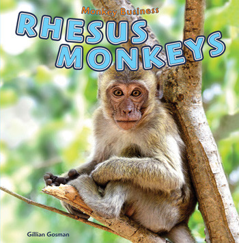 Rhesus Monkeys - 9781448851812 by Gillian Houghton Gosman, 9781448851812