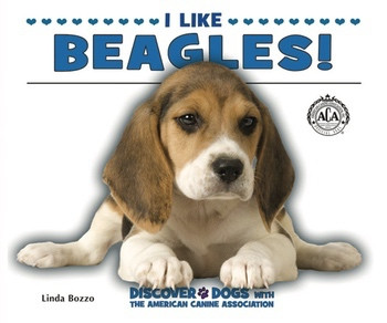 I Like Beagles! by Linda Bozzo, 9780766038462