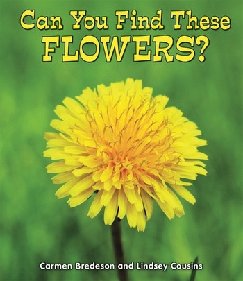 Can You Find These Flowers? by Carmen Bredeson, Lindsey Cousins, 9780766039766