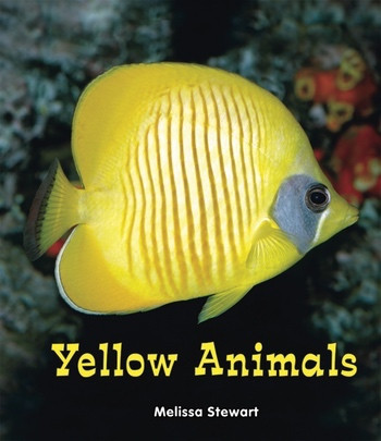 Yellow Animals by Melissa Stewart, 9780766039971