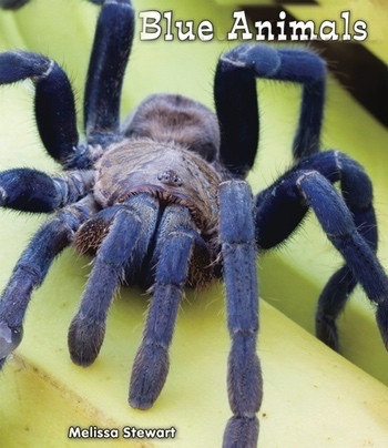 Blue Animals - 9780766039995 by Melissa Stewart, 9780766039995