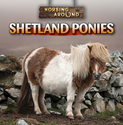 Shetland Ponies - 9781433964725 by Kristen Rajczak Nelson, 9781433964725