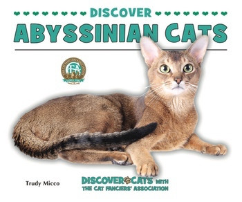 Discover Abyssinian Cats - 9781464401121 by Trudy Micco, 9781464401121