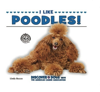 I Like Poodles! - 9781464401183 by Linda Bozzo, 9781464401183