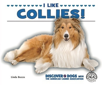 I Like Collies! - 9781464401213 by Linda Bozzo, 9781464401213