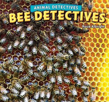 Bee Detectives by Rosie Albright, 9781448861507