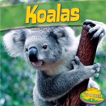 Koalas - 9781448861859 by Willow Clark, 9781448861859