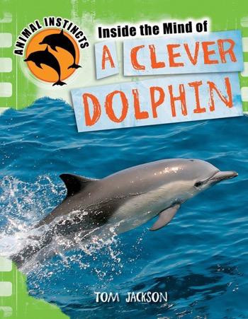 Inside the Mind of a Clever Dolphin by Tom Jackson, 9781448870349