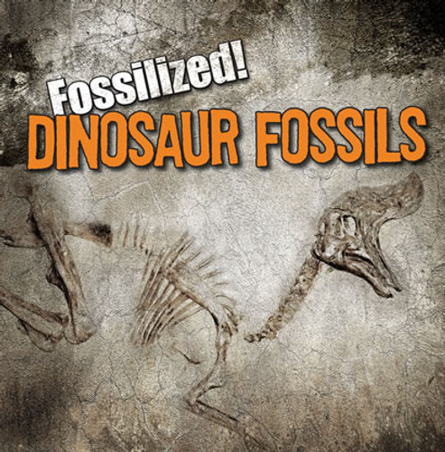Dinosaur Fossils by Kathleen Connors, 9781433964084