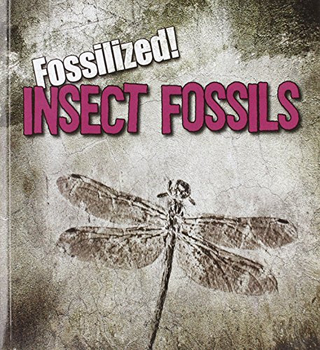 Insect Fossils - 9781433964183 by Kathleen Connors, 9781433964183