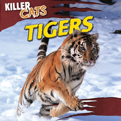 Tigers - 9781433970153 by Elizabeth Whyte, 9781433970153