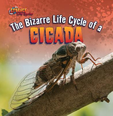 The Bizarre Life Cycle of a Cicada - 9781433970405 by Greg Roza, 9781433970405