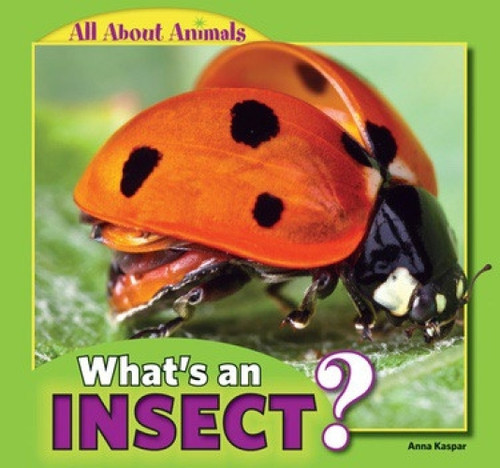 What's an Insect? - 9781448862368 by Anna Kaspar