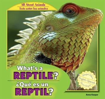 What's a Reptile? / ¿Qué es un reptil? by Anna Kaspar, Eduardo Alamán, 9781448867004