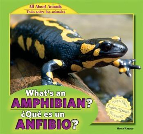 What's an Amphibian? / ¿Qué es un anfibio? by Anna Kaspar, Eduardo Alamán, 9781448867059