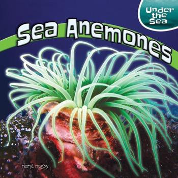 Sea Anemones - 9781448874019 by Meryl Magby, 9781448874019