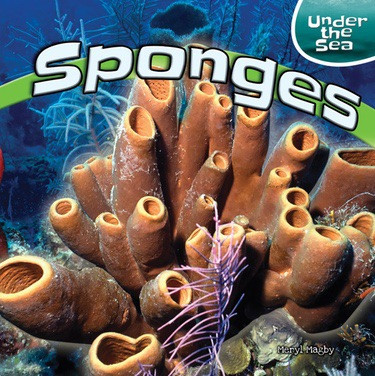 Sponges - 9781448874781 by Meryl Magby, 9781448874781