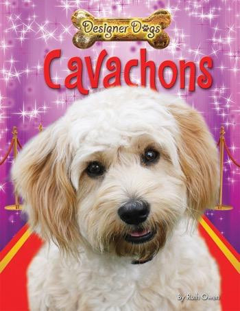 Cavachons by Ruth Owen, 9781448878543
