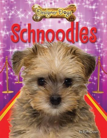 Schnoodles by Ruth Owen, 9781448878598