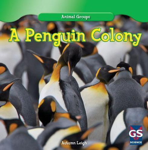 A Penguin Colony - 9781433982101 by Autumn Leigh, 9781433982101
