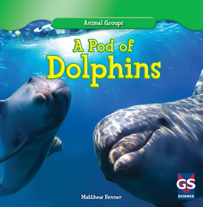 A Pod of Dolphins by Matthew Fenner, 9781433982149