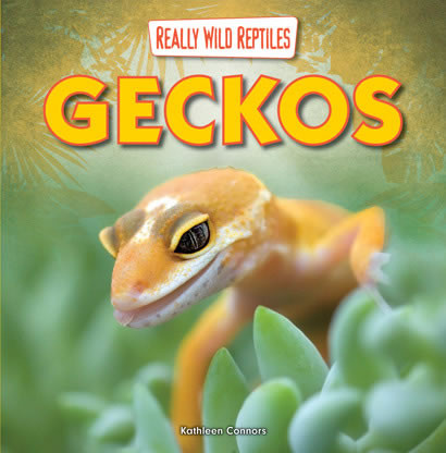 Geckos - 9781433983641 by Kathleen Connors, 9781433983641