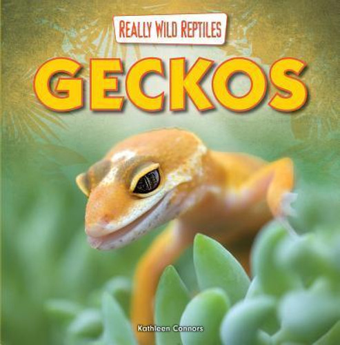 Geckos - 9781433983658 by Kathleen Connors, 9781433983658