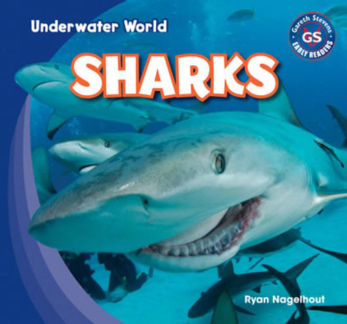 Sharks - 9781433985751 by Ryan Nagelhout, 9781433985751