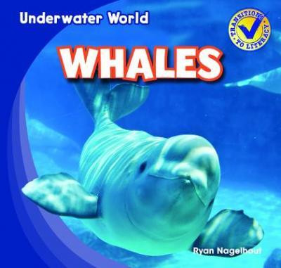 Whales - 9781433985836 by Ryan Nagelhout, 9781433985836