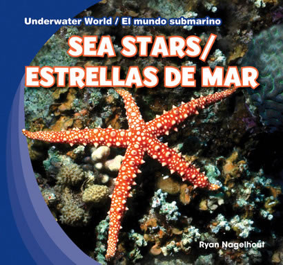 Sea Stars / Estrellas de mar (Bilingual Edition) by Ryan Nagelhout, 9781433987823
