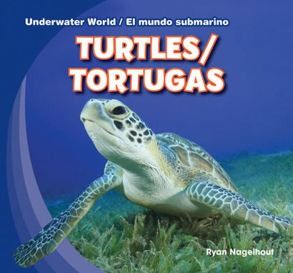 Turtles / Tortugas (Bilingual Edition) by Ryan Nagelhout, 9781433987861