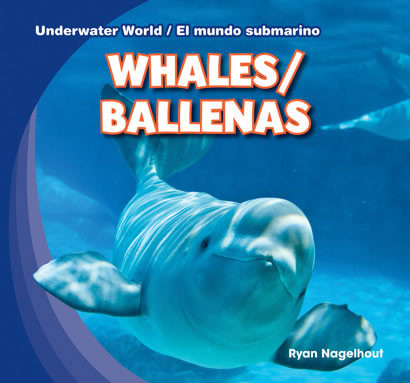 Whales / Ballenas - 9781433987885 by Ryan Nagelhout, 9781433987885