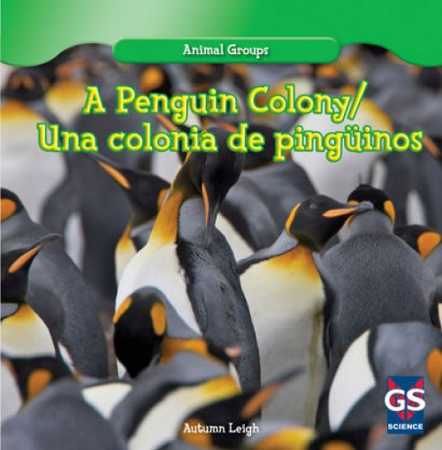 A Penguin Colony / Una colonia de Pingüinos (Bilingual Edition) by Autumn Leigh, 9781433988080