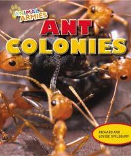 Ant Colonies - 9781477703021 by Louise Spilsbury, Richard Spilsbury, 9781477703021