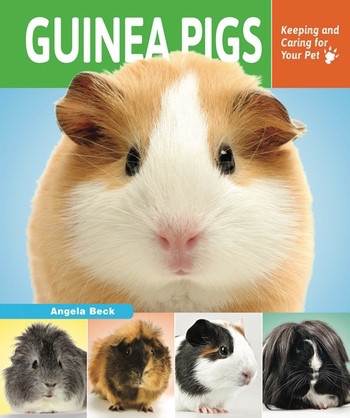 Guinea Pigs (Keeping and Caring for Your Pet) - 9781464402999 by Angela Beck, 9781464402999