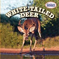 White-Tailed Deer - 9781477707920 by Meryl Magby, 9781477707920