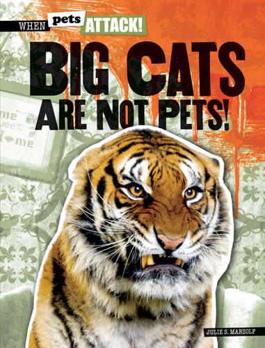 Big Cats Are Not Pets! by Julie Schwab Marzolf, 9781433992735