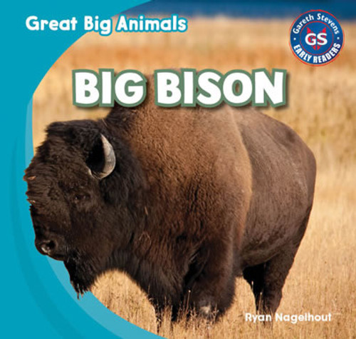 Big Bison by Ryan Nagelhout, 9781433994203