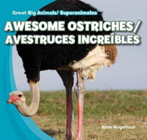 Awesome Ostriches / Avestruces increíbles (Bilingual Edition) by Ryan Nagelhout, 9781433994500