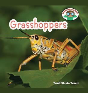 Grasshoppers - 9781608702466 by Trudi Strain Trueit, 9781608702466