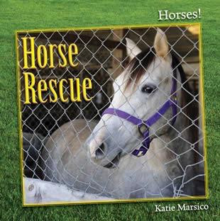 Horse Rescue - 9781608708369 by Katie Marsico, 9781608708369