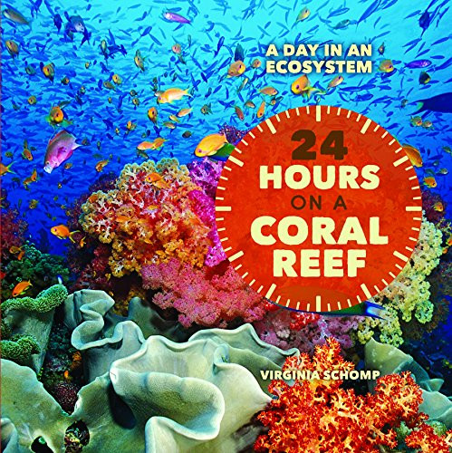24 Hours on a Coral Reef - 9781627120654 by Virginia Schomp, 9781627120654