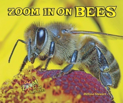 Zoom in on Bees - 9781464403637 by Melissa Stewart