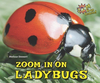 Zoom in on Ladybugs - 9781464403736 by Melissa Stewart, 9781464403736